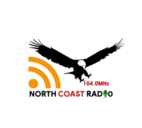 Independent Newspapers and Online Community News